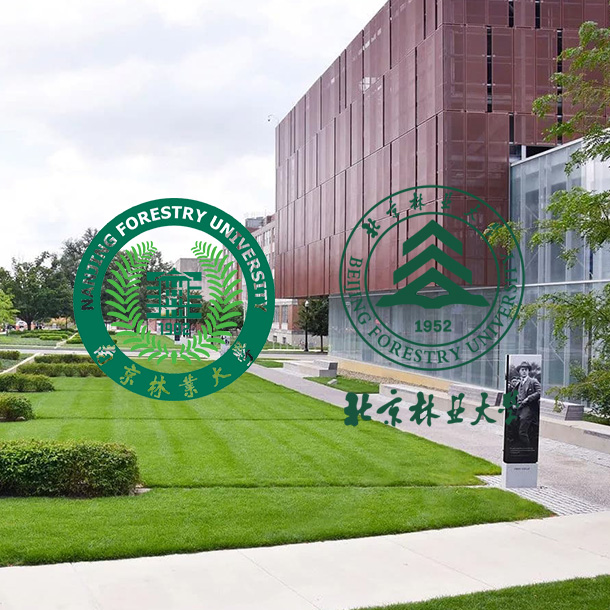 Anhui Guanming decoratiematerialen Co., Ltd